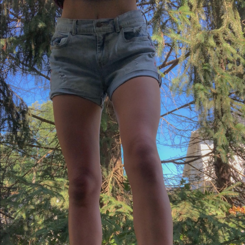 Embroidered Light Wash Boyfriend Jean Shorts